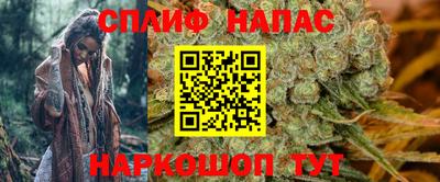 спиды Заводоуковск