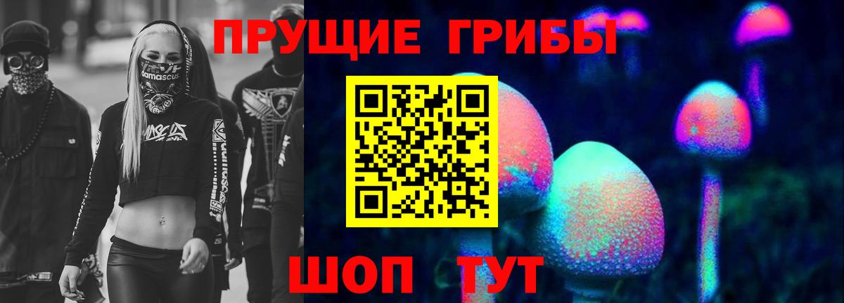 Галлюциногенные грибы прущие грибы  Вход с VPN  Кунгур 